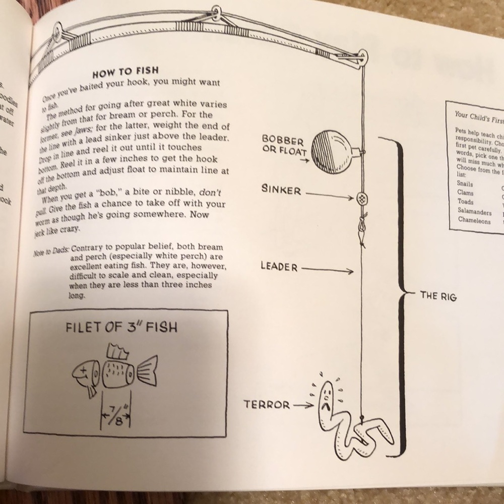 Book - Picture 5 of 7